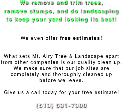 


  



We remove and trim trees,
remove stumps, and do landscaping
to keep your yard looking its best!

  
We even offer free estimates!

  
What sets Mt. Airy Tree & Landscape apart
from other companies is our quality clean up.
We make sure that our job sites are
completely and thoroughly cleaned up
before we leave.
 
Give us a call today for your free estimate!
 
(513) 531-7300

